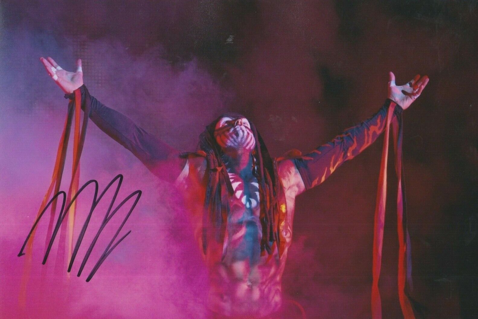 Finn Balor (WWE) **HAND SIGNED** 8x12 Photo Poster painting ~ AUTOGRAPHED