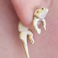 Hand Painted Bearded Dragon Earrings