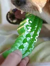 Slow-Feed Chew & Fetch Crocodile Dog Toy Dog Slow Feeder Puzzle Toy Pet Supplies