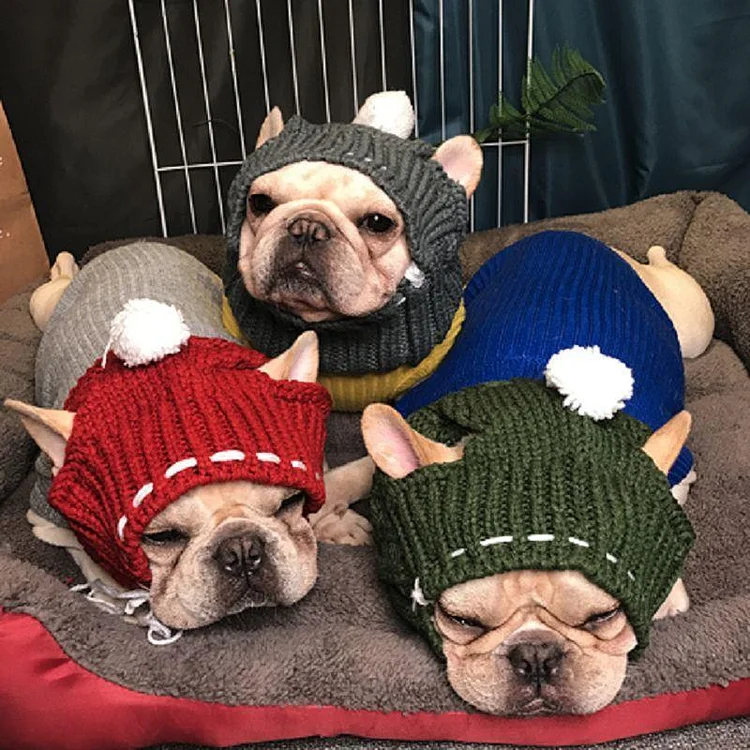 Winter Woolen Hat for French Bulldog