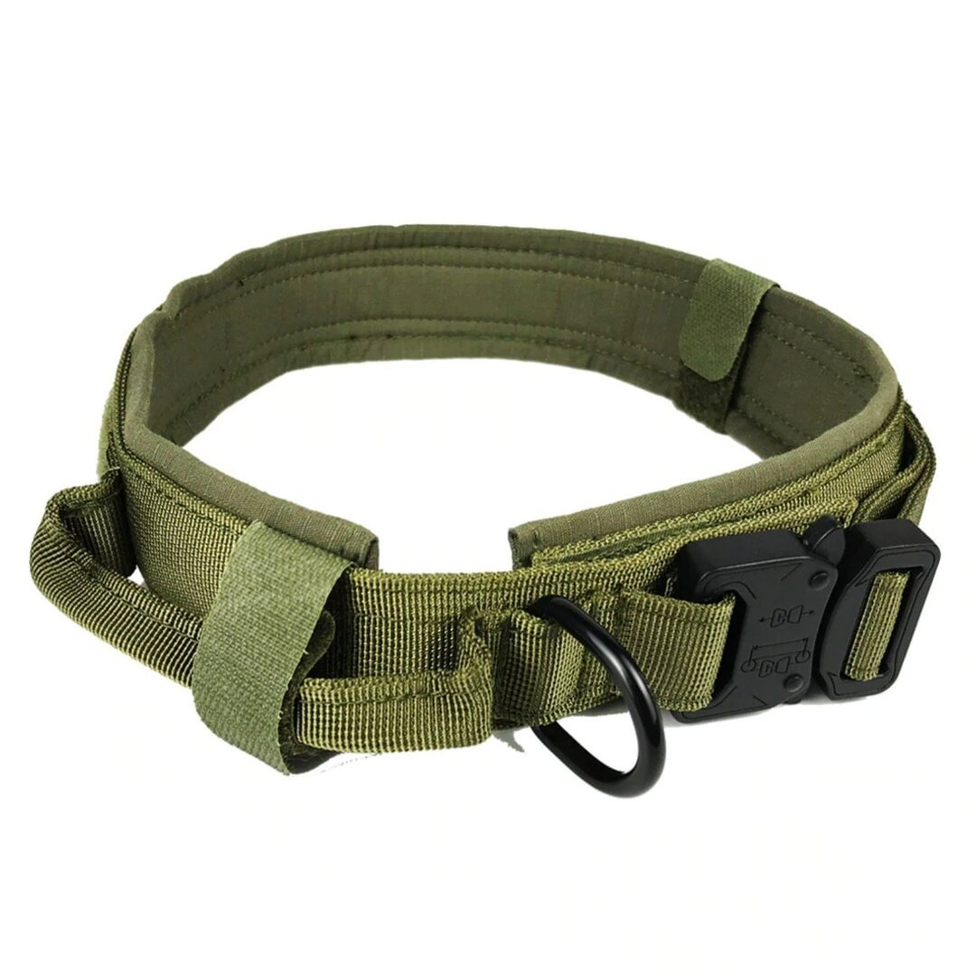 Military Tactical Dog Collar German Shepard