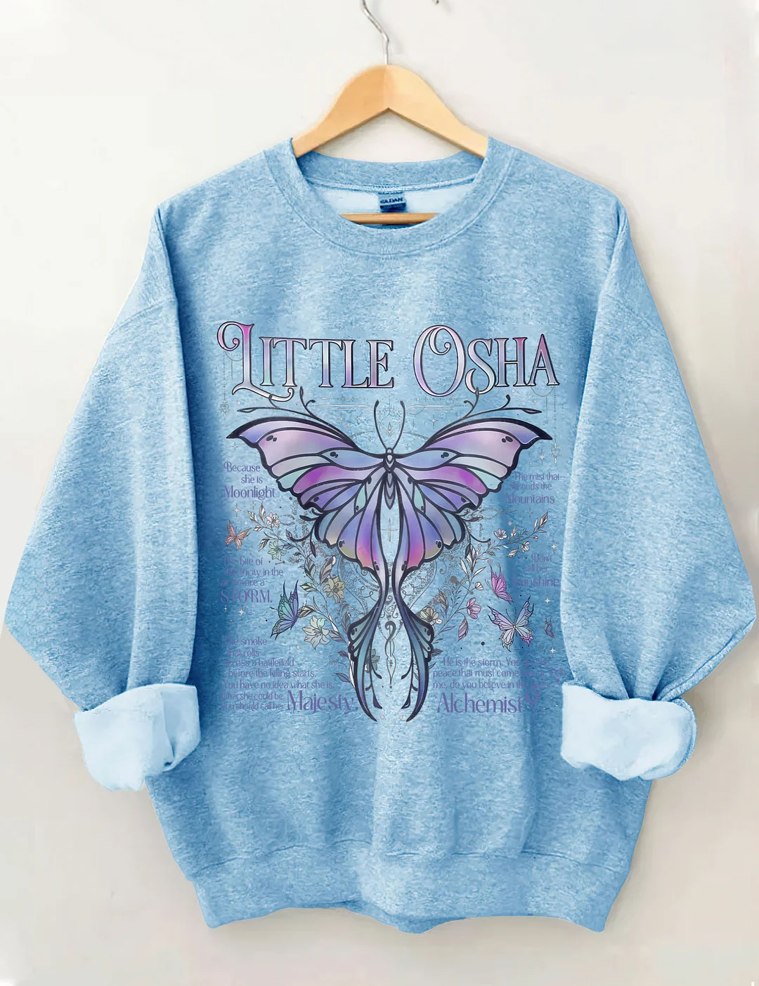 Little Osha Butterfly Sweatshirt