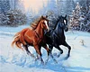 Horse Running In The Snow | Full Square Diamond Painting Kits