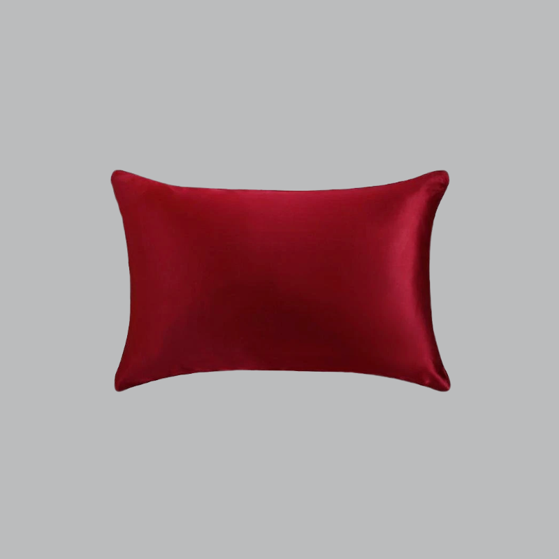 25 Momme Both Sides In Mulberry Silk Pillowcase REAL SILK LIFE