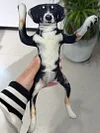 Customized Poseable Human Pets Stuffed Keychains Plushie Send Pic to bruce663@foxmail.com