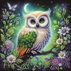 Kits de peinture en diamant partiel en forme de forme en forme sp&eacute;ciale de hibou en forme de 5d pour adultes d&eacute;butants, d&eacute;coration int&eacute;rieure, peintures en diamants, art de pierres pr&eacute;cieuses 11,81 x 11,81 pouces