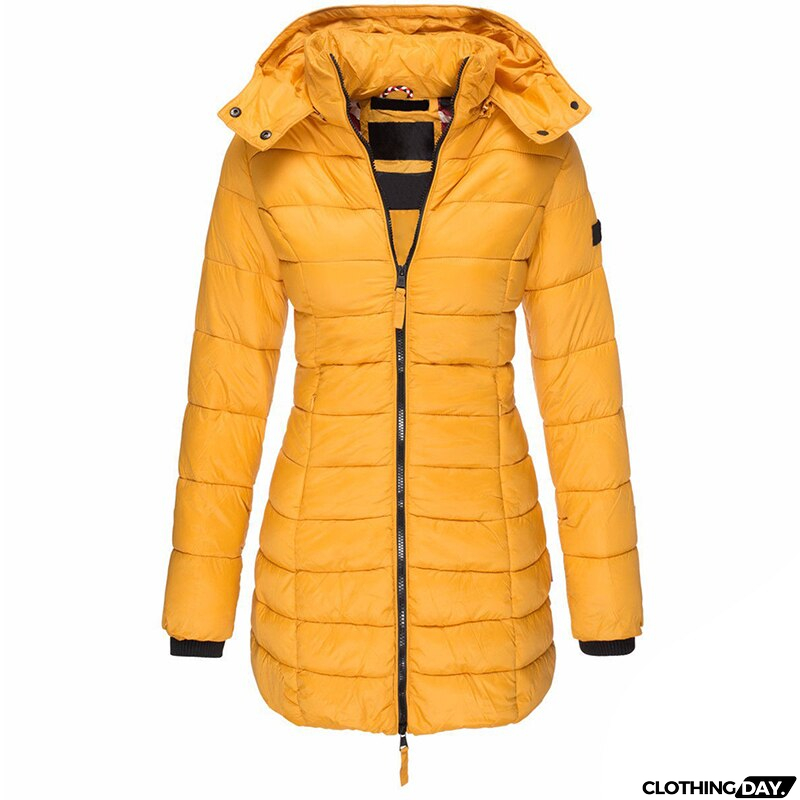 Timeless and Stylish Jacket