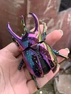 Clockwork beetle toy insect beetle simulation animal rhinoceros beetle electroplating mechanical model