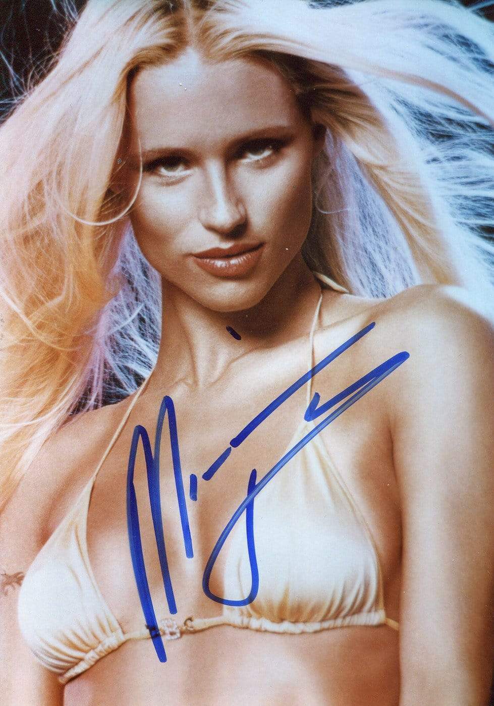 MODEL and ACTRESS Michelle Hunziker autograph, signed Photo Poster painting