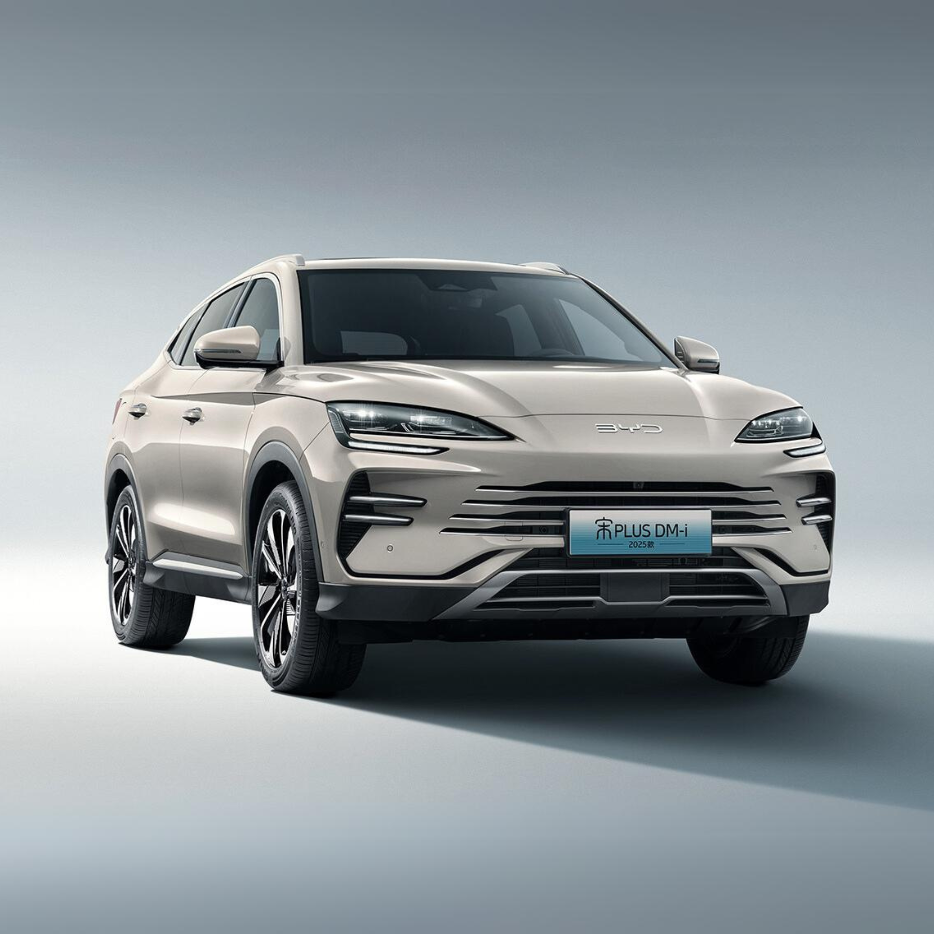 2025 BYD Song PLUS DM-i 160KM Flagship PLUS China Import And Export Auto Limited