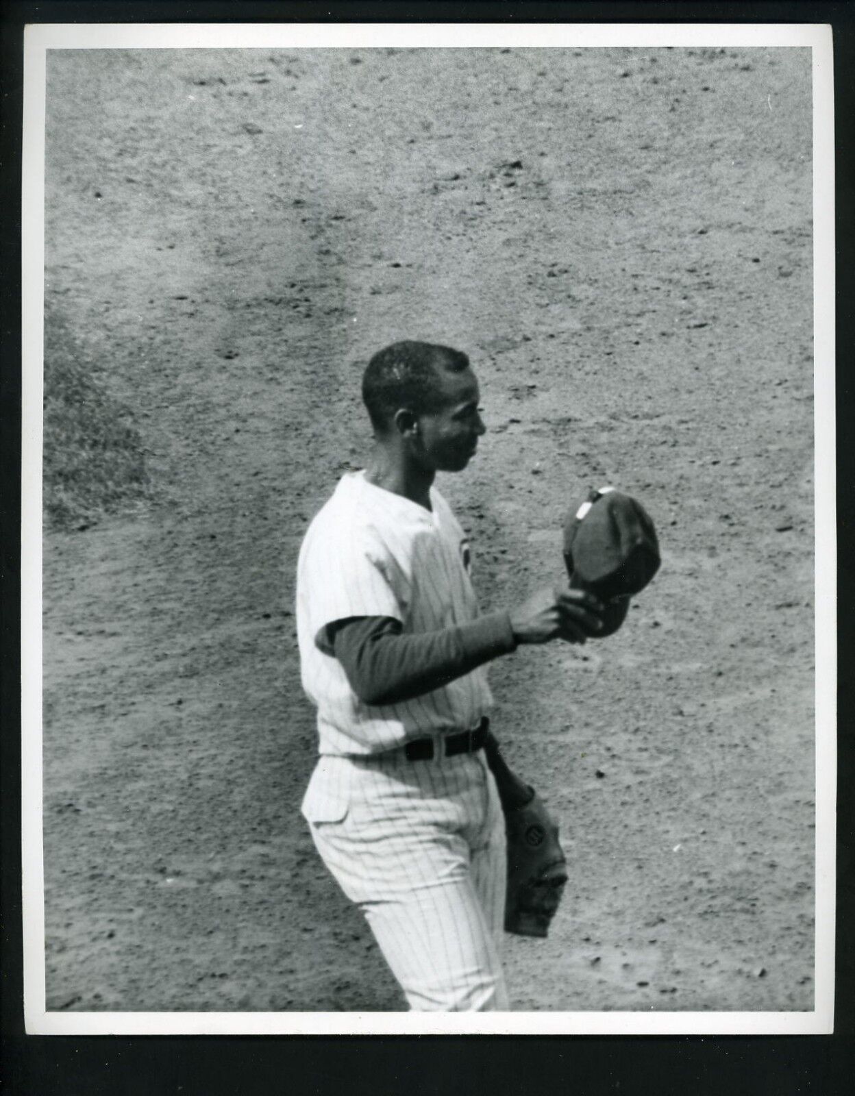 Ernie Banks circa 1960's Chicago Tribune Press Photo Poster painting Chicago Cubs