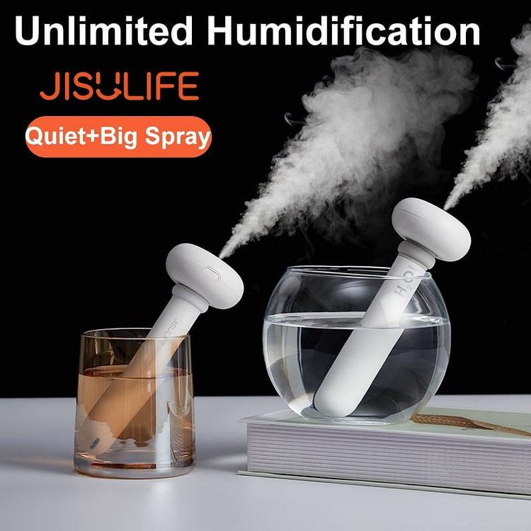 Portable Air Humidifier Aroma Diffuser