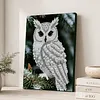 (30x40cm)DIY Pearl Painting Framed Owl  Handmade Pearl Material Art Kit Living Room Decor