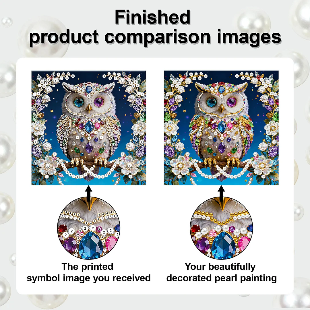 Owl DIY Pearl Art Diamond Painting Kit for Adults Home Decor 25x25cm With Frame