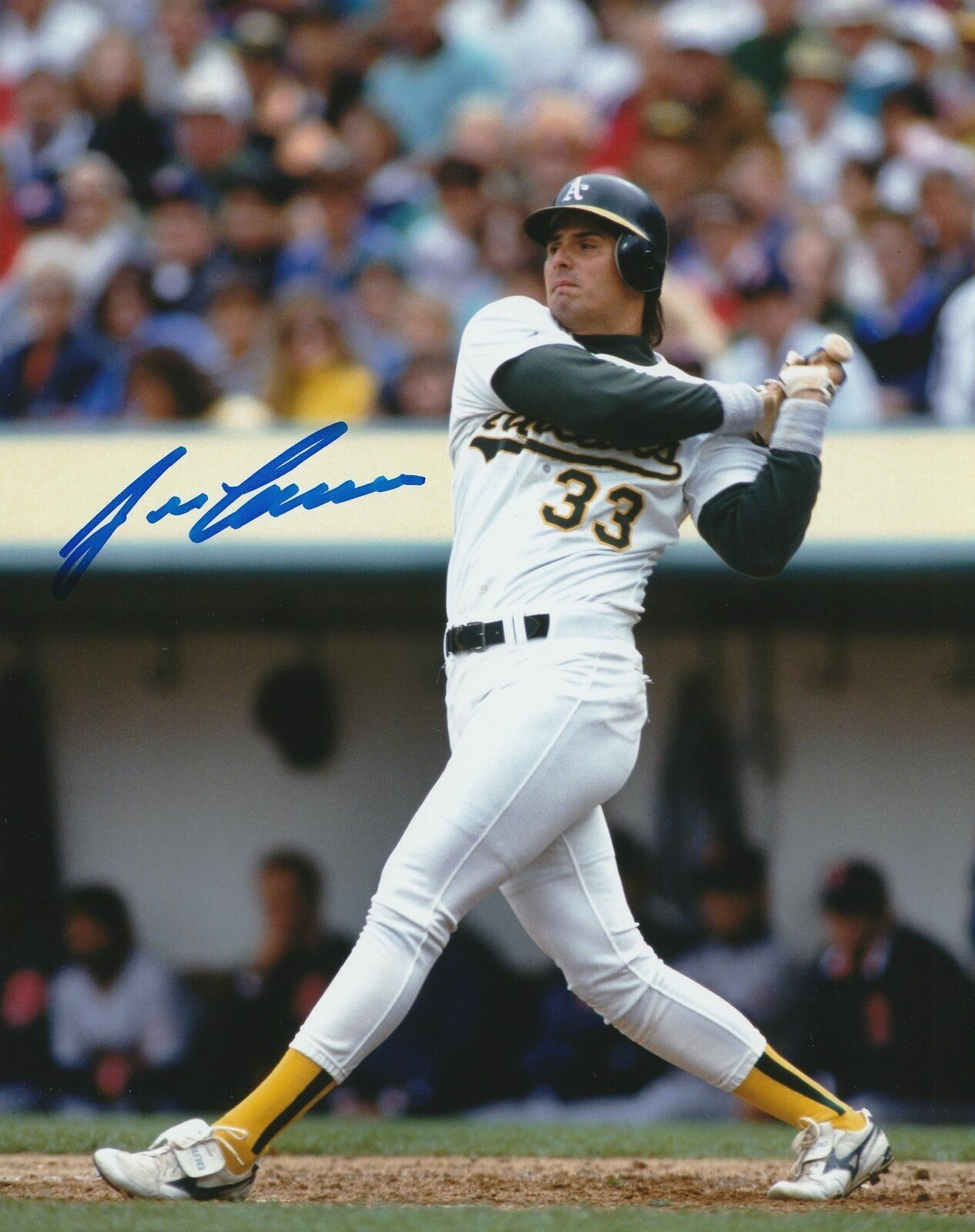 Jose Canseco Autographed Signed 8x10 Photo Poster painting ( Athletics ) REPRINT