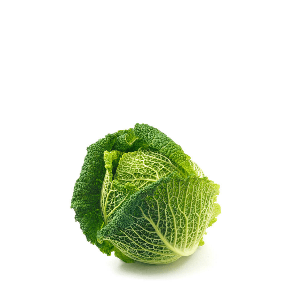 Savoy Cabbage Cabbage Virtudes Seeds