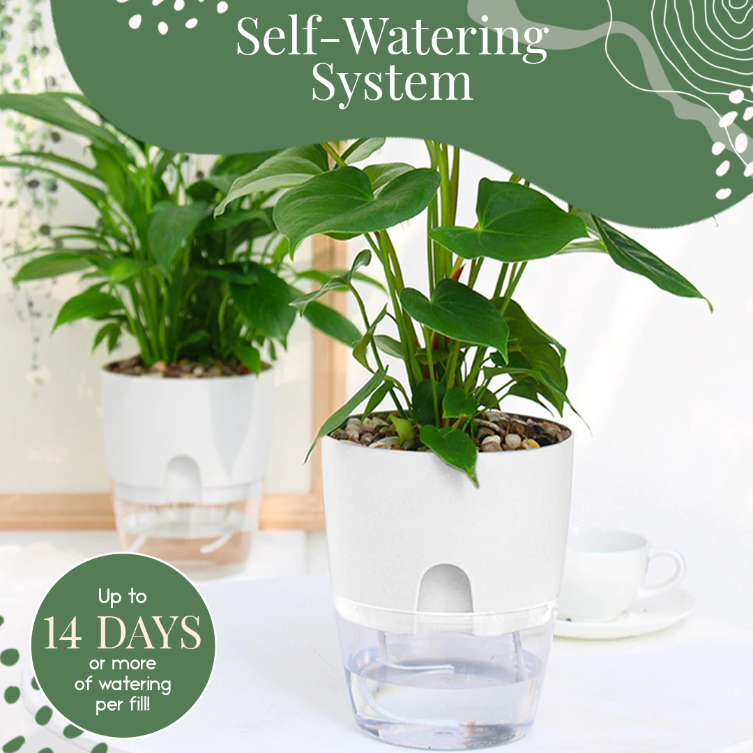 Hydroponic Self Watering Flowerpot