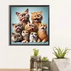 Naughty Cats-Full Square Diamond Painting 40*40CM