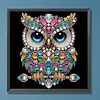 Eule 5d DIY Sonderform Teilbohrer Dimond Gemälde Wanddekoration 30x30cm