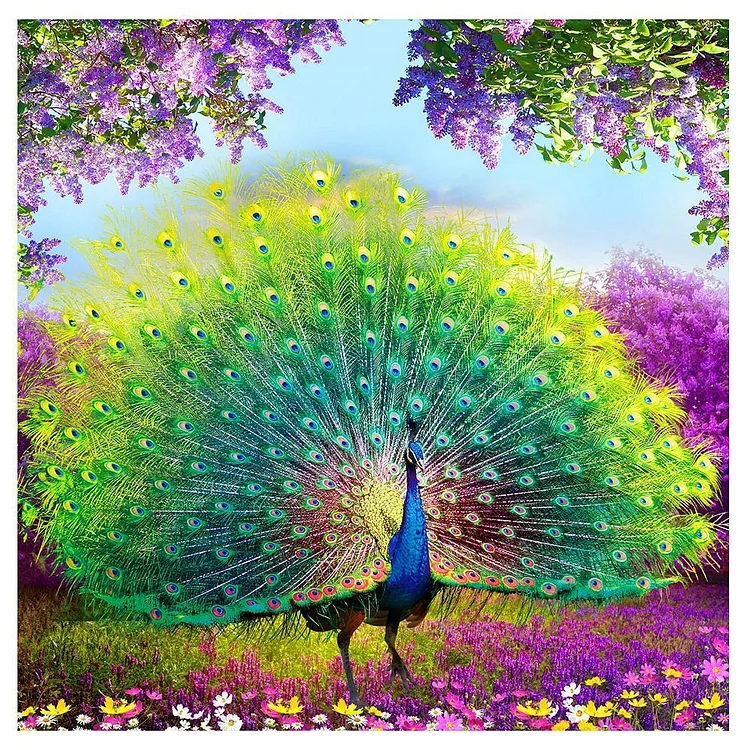 Peacock - Square Drill Diamond Painting - 35x35cm(Canvas)