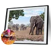 Best lowest diamond painting - Coodeals diamond painting