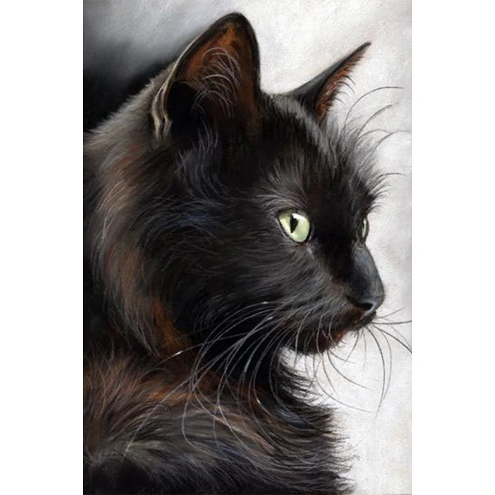 Full Round Diamond Painting - Black Cat(30*40cm)