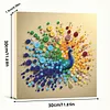 DIY Pre-Framed Peacock Button Art Canvas Kit