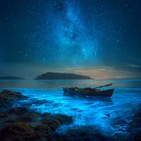 Bioluminescent Bay at Night - Diamond Painting