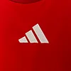 2024 Hungary Home Football Shirt 1:1 Thai Quality