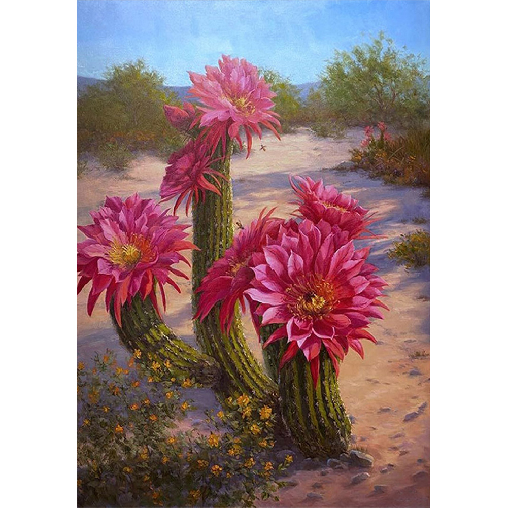 Desert Cactus-Paint by Numbers-30*40cm/40*50cm