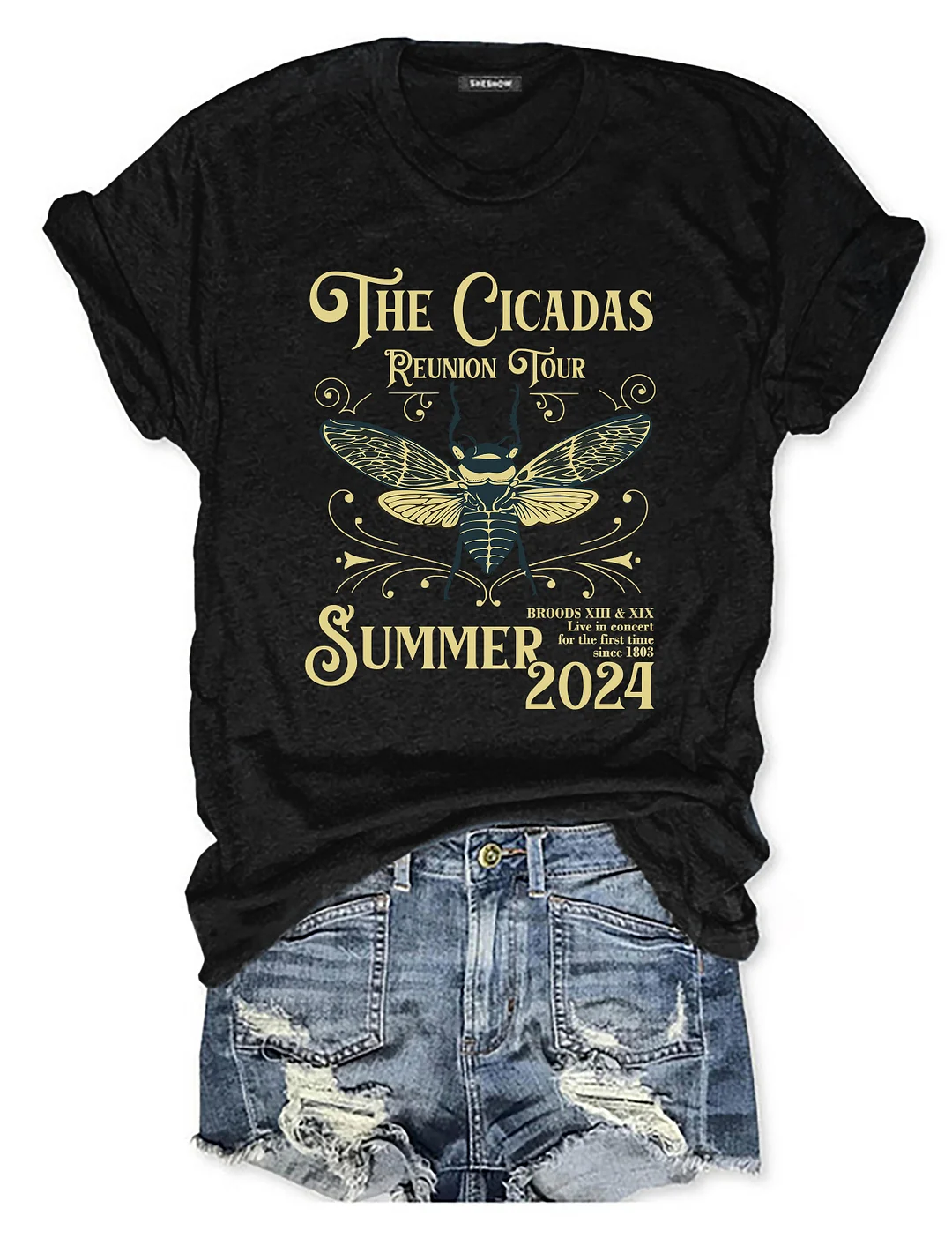 The Cicadas Reunion Tour Summer 2024 T-shirt