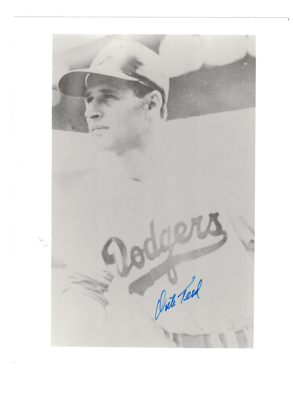 Dick Teed Brooklyn Dodgers Signed 8x10 Photo Poster painting W/Our COA RH2