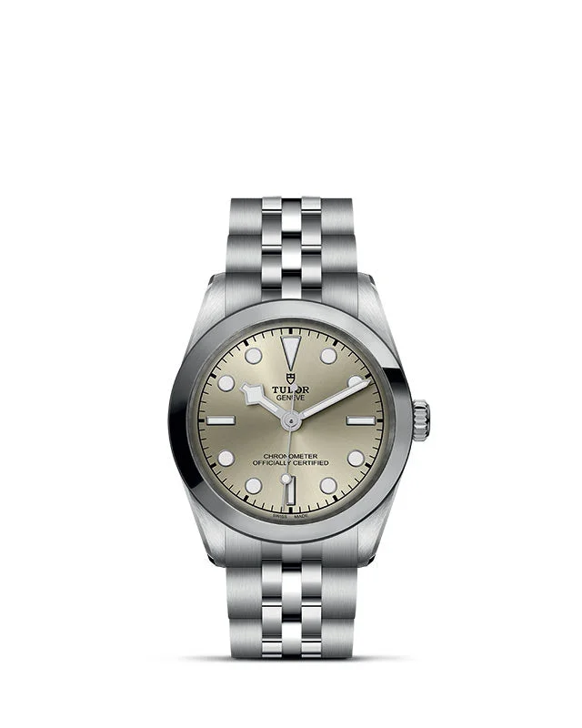 Tudor Black Bay 31