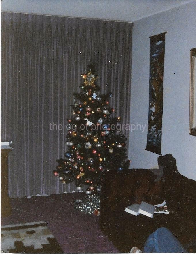 Christmas Tree FOUND Photo Poster painting ColorOriginal Snapshot VINTAGE 05 20 U