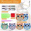 Diamond painting Owl Mirror