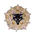 Lobo Sol Misterioso