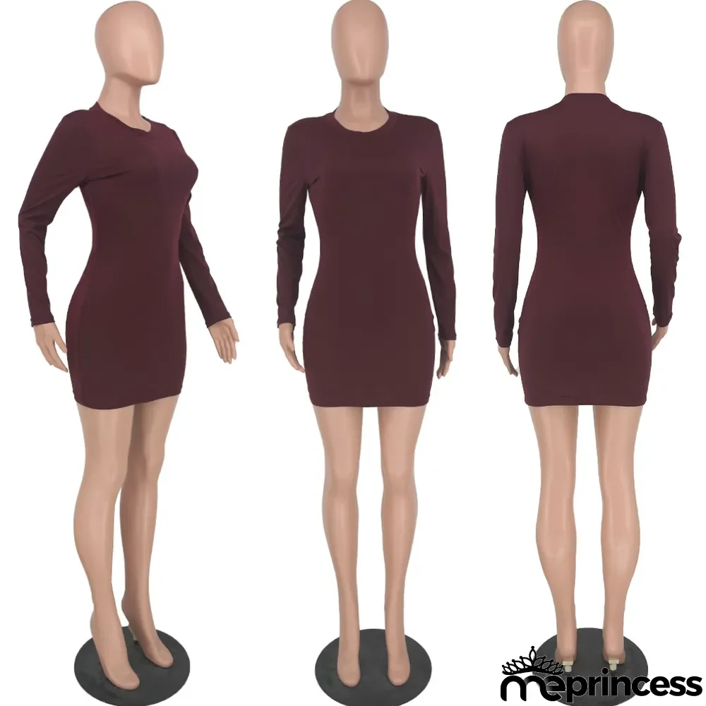 Casual Solid Long Sleeve Slim Mini Dress