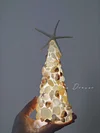 Shell conch Christmas tree night light handmade DIY material package