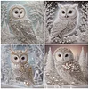 Pearl Owl-Partial Special Shaped Diamond Painting 30*30CM