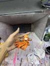 1/7 Scale Post-Timeskip Nami - ONE PIECE Resin Statue - WeiMeng Studio