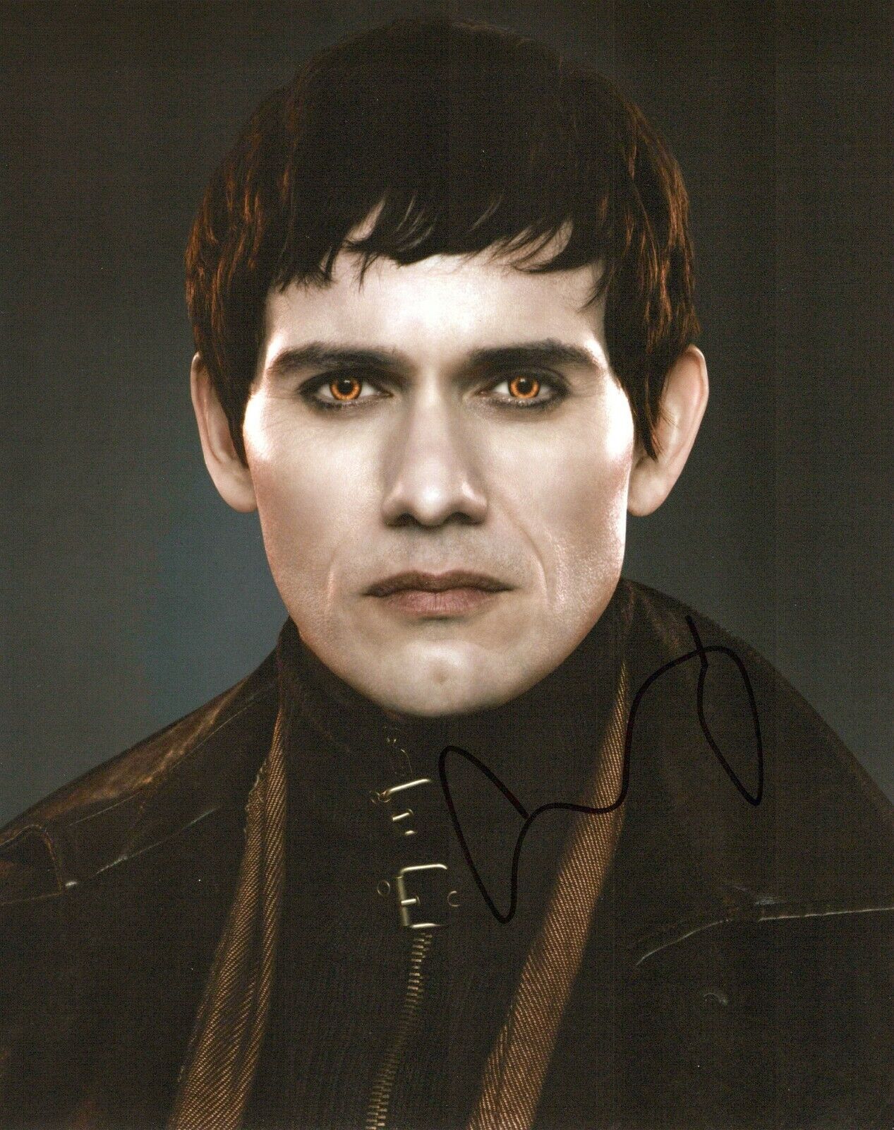 Christian Camargo Twilight Breaking Dawn 2 autographed Photo Poster painting signed 8x10 #3