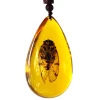 Insect Amber Pendant Natural Butterfly Specimen Insect Amber Necklace Children's Hanging Accessories