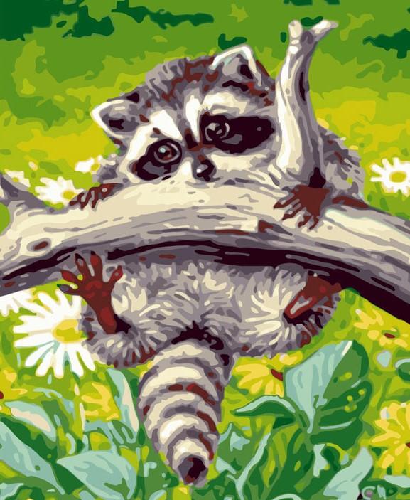 

Little Raccoon – Paint By Numbers - 40*50CM, 501 Original