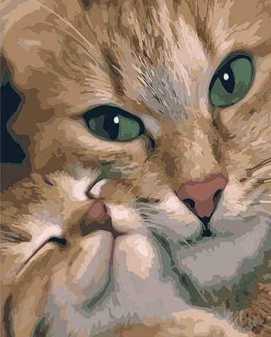 

mommy Cat – Paint By Numbers - 40*50CM, 501 Original