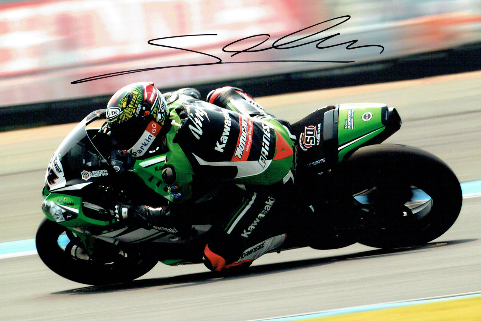 David SALOM 2015 SIGNED KAWASAKI TEAM PEDERCINI Autograph 12x8 Photo Poster painting AFTAL COA