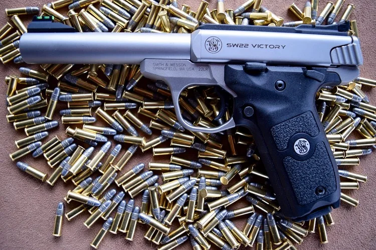 Smith&Wesson SW22