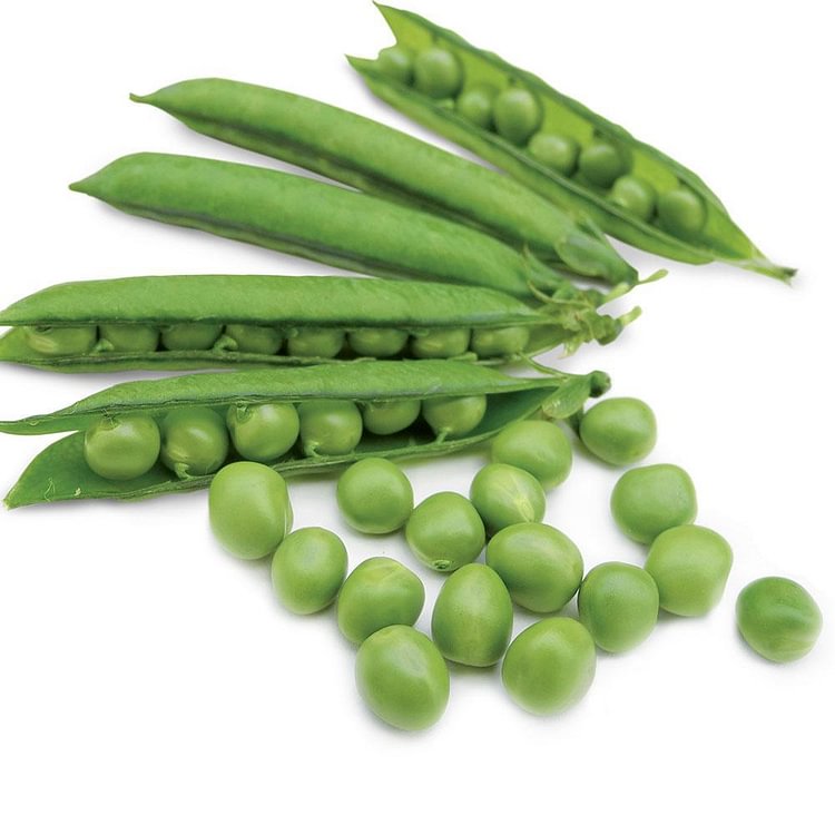 Pea Karina Organic