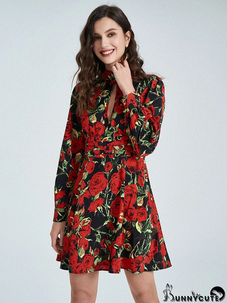 Allover Rose Print Cut Out Stand Collar Long Sleeve Dress