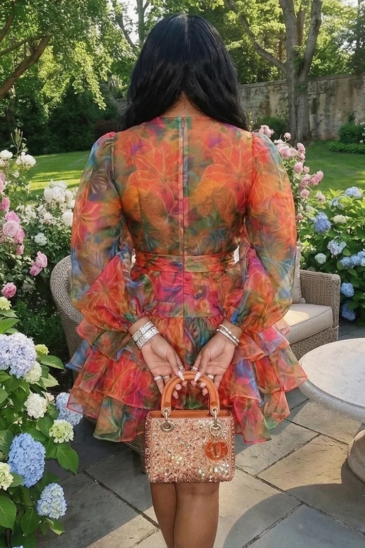 multi color casual dress Round Neck Long Sleeve Ruffle Mesh Casual Mini Dresses-Multicolor Multicolor-S