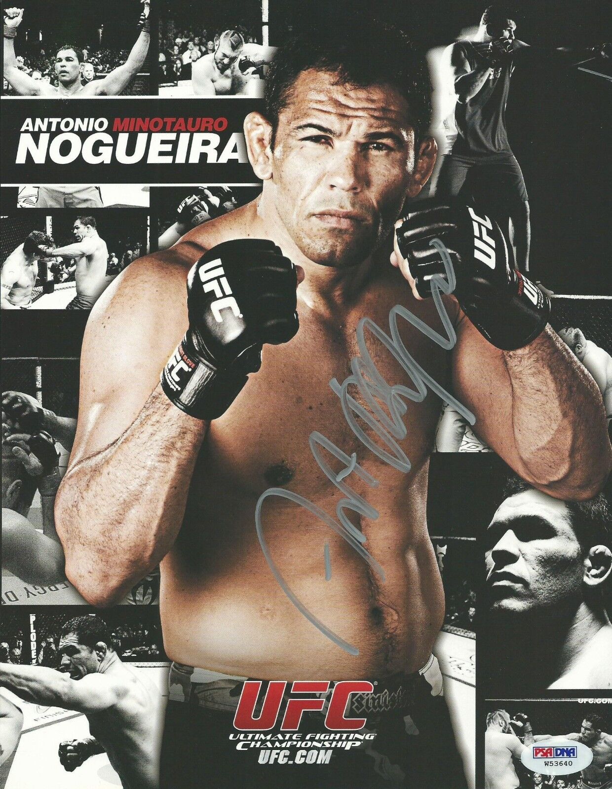 Antonio Rodrigo Nogueira Signed UFC 8x10 Photo Poster painting PSA/DNA COA Minotauro Promo Auto